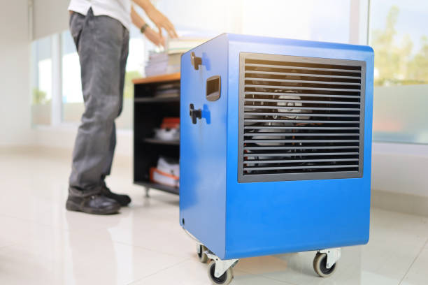 Best Black Mold Removal  in Jonestown, TX